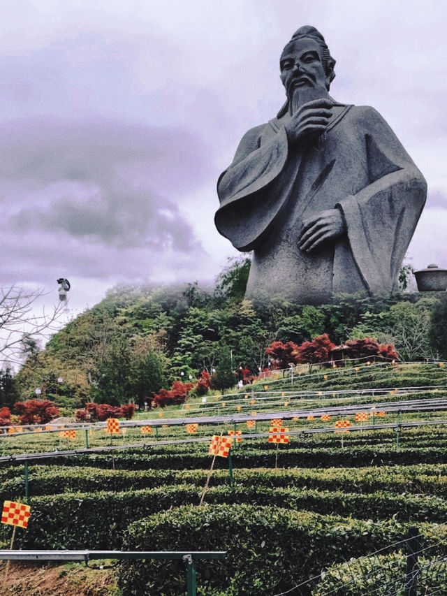 雲頂茶鄉 | 巴中南江嘅世外桃源，一篇解鎖茶園慢生活攻略