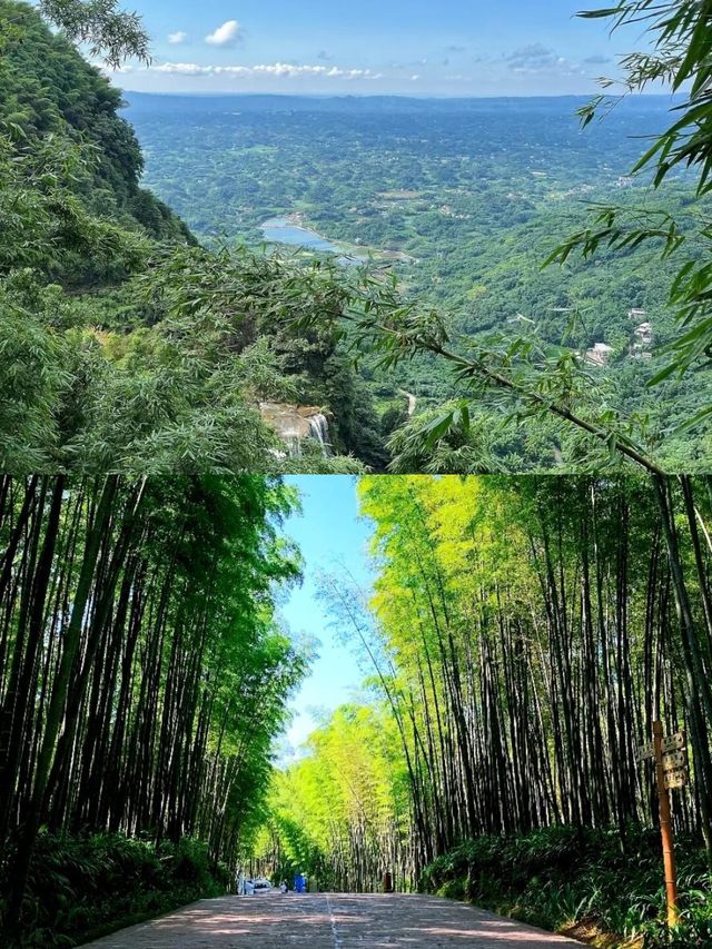蜀南竹海——雲山竹海·天上人間