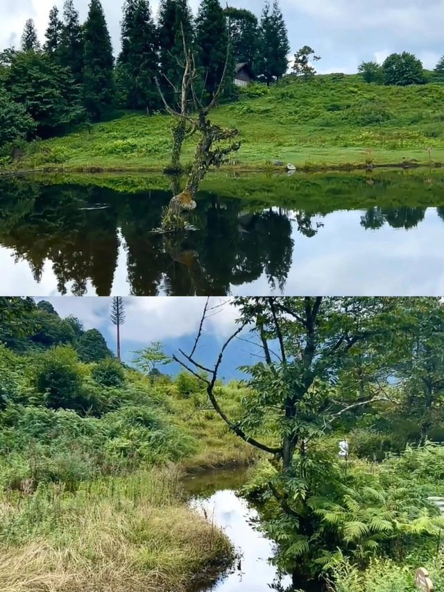 邂逅小眾寶藏地，解鎖馬里冷舊夢幻之旅