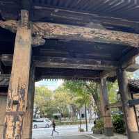 🌸東京上野公園新生｜春日限定的浪漫重啟🌿