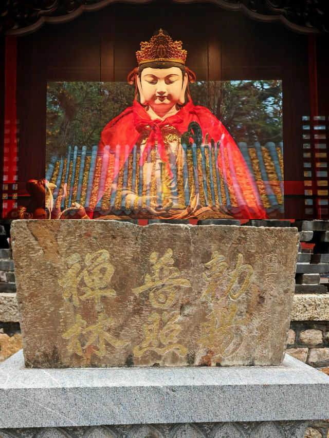 泰安旅遊攻略：登泰山而小天下