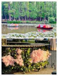 上海人嘅私藏！共青森林公園春天嘅王炸路線，錯過咗要等一年！