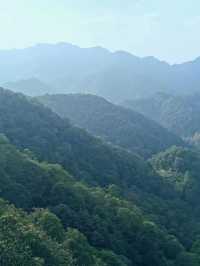 西湖雲築享受躺平人生