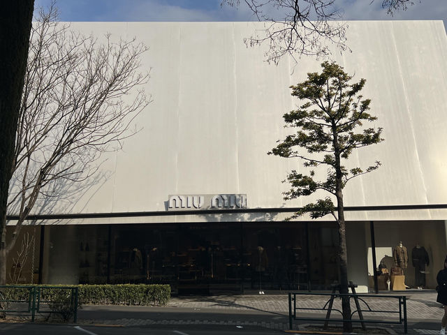 ✨東京表參道必逛購物攻略｜漫步文藝街道挖寶時尚與靜謐✨