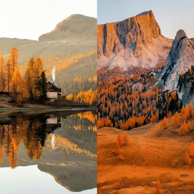 阿爾卑斯山