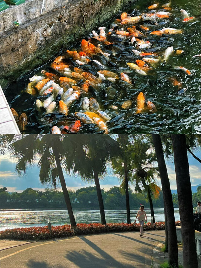 山水、古剎、裹蒸糉，解鎖嶺南最詩意的湖光山色！