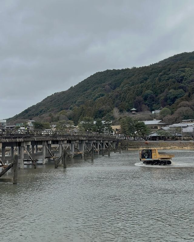 京都必到景點懶人包，景觀、文化、歷史一次滿足