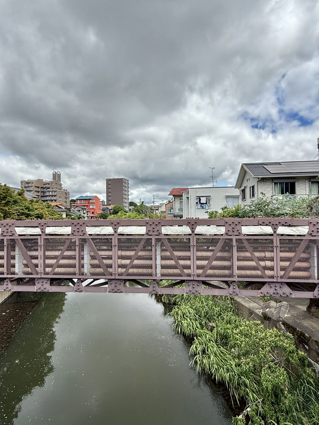 日本・九州熊本縣