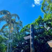 澳門跨境香港交通打卡｜港島徑畢拿山：抹茶蛋糕味的天空之城🍃