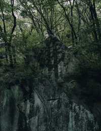 喺釜山～唔止得海東龍宮寺！