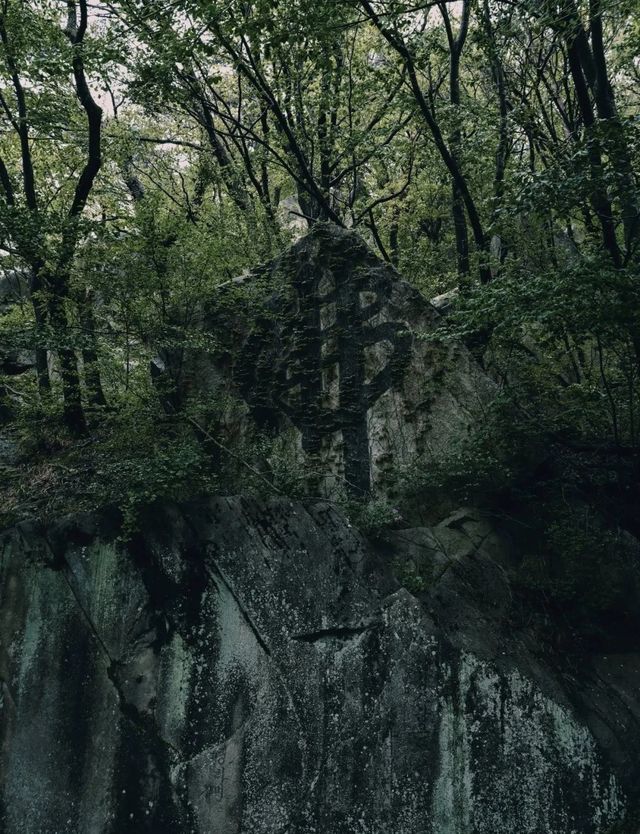 喺釜山～唔止得海東龍宮寺！