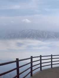 本以為山西大同已經好靚，直到我去咗河南洛陽先知道……