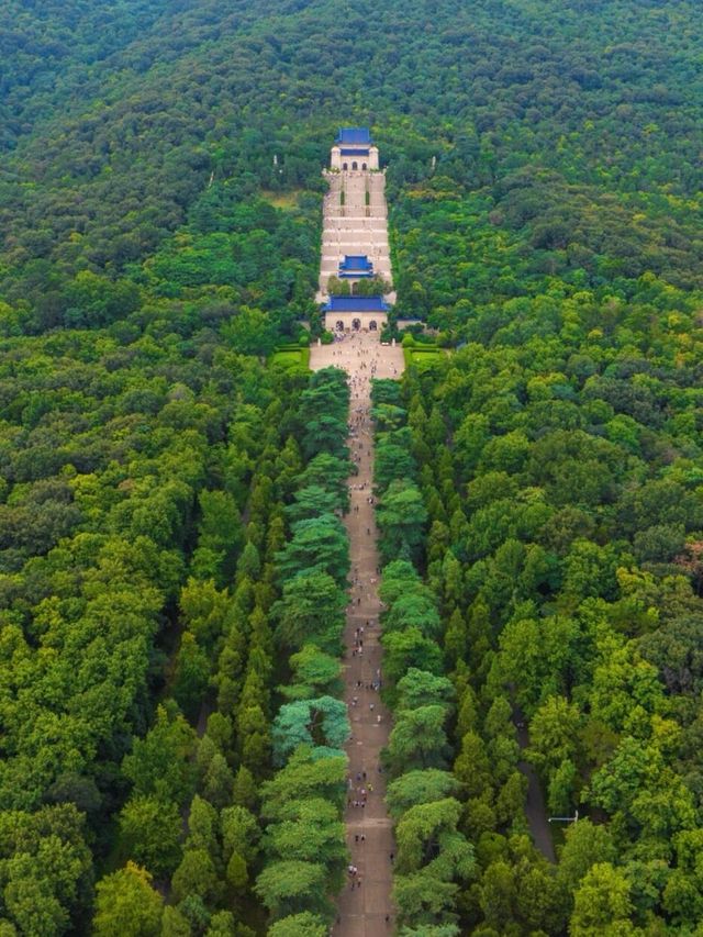一篇攻略，話你知點樣玩轉南京鐘山風景區