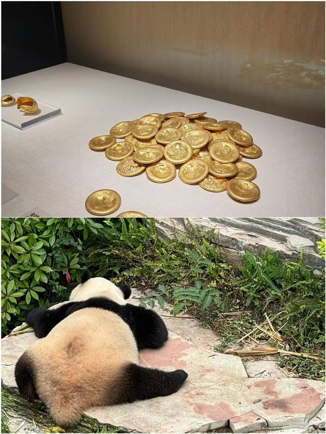 學生黨窮遊必睇！呢5個城市好玩到跺腳