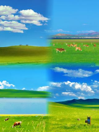 Xilingol Grassland | 3-Day 2-Night Road Trip Guide