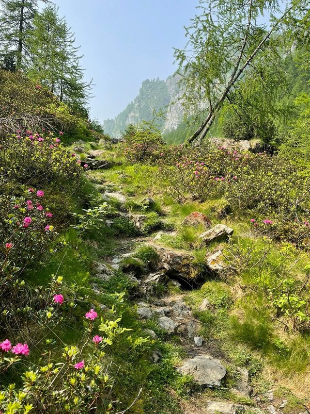 《六月十二日，喺馬塞洛山谷嘅岩壁上同時間共舞：一場阿爾卑