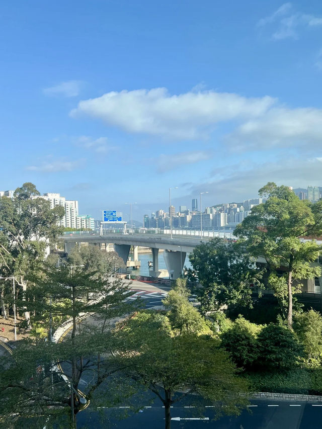 城市綠洲的家庭午後：千禧新世界香港酒店親子體驗記