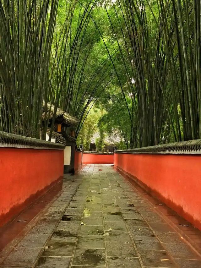 成都旅遊必備攻略（超全）