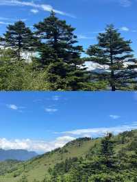 探秘「華中屋脊」，邂逅野人傳說！