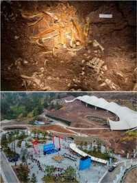 穿越1.8億年的奇幻之旅！雲陽恐龍化石地質公園攻略
