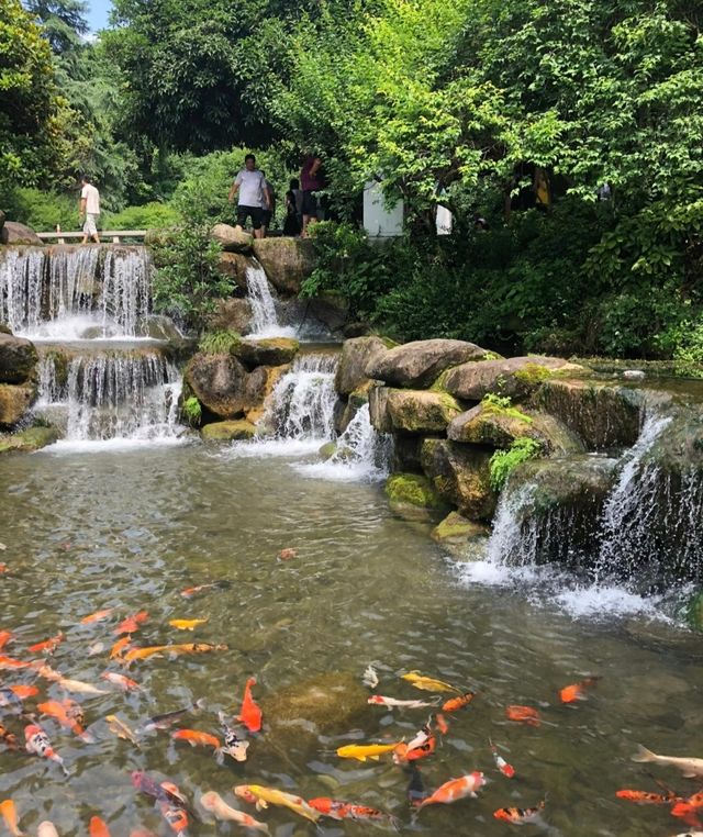 金華你竟敢私藏避暑勝地