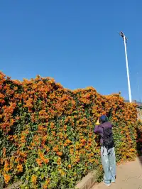 攀枝花22°C嘅暖冬係成都人嘅最愛吧？