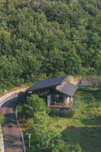 樸心山居｜信陽新晉度假民宿，住進山谷秘境中