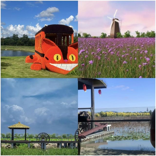 玉環｜東海遺珠嘅浪漫與鮮味暴擊，邊個嚟到都會愛上