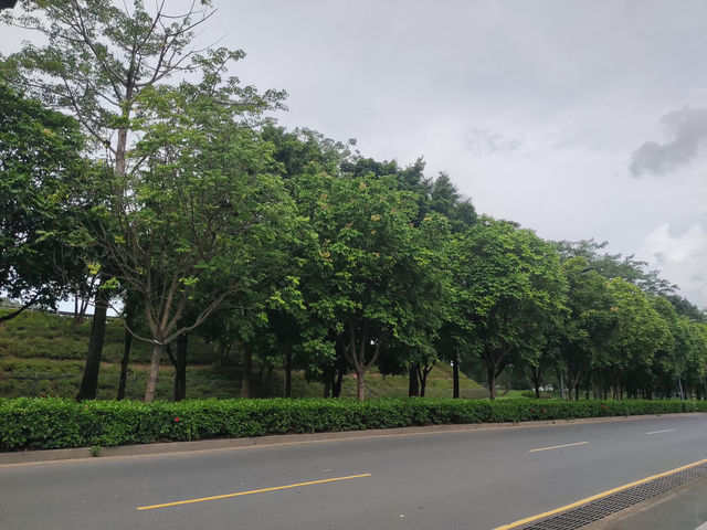 《深圳慢旅，蔚徕酒店的治癒時光》