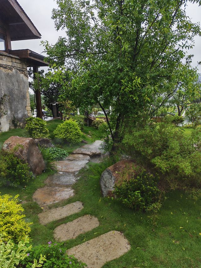 琵琶里霧森花海｜南北湖新晉仙境，每一步都係網紅大片！
