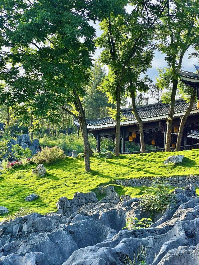 國家地理沒騙我！宜賓這個世界地質公園絕了