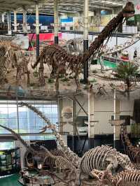 【爆款攻略】成都隱藏版侏羅紀公園！雙流海濱城恐龍館尖叫玩法