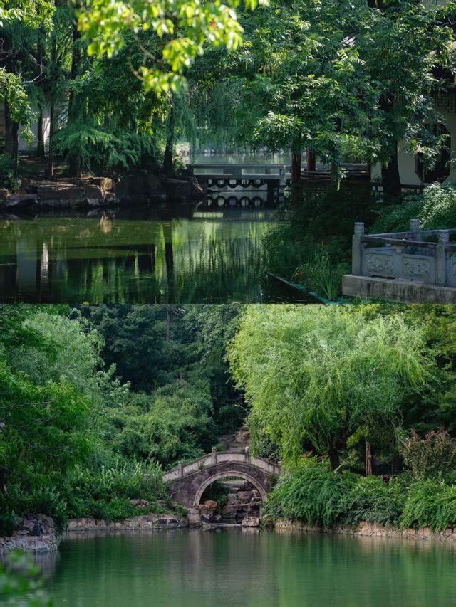 盛夏闖入滬郊秘境！這座園林藏著江南的詩意與清涼