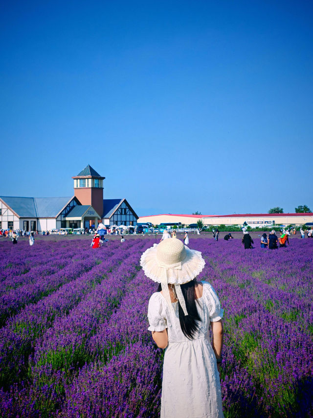 伊帕爾汗薰衣草觀光園旅遊攻略