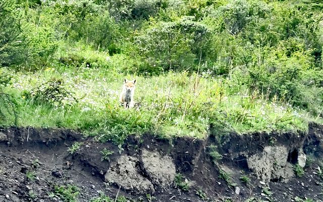 川西旅遊攻略  出遊必看。