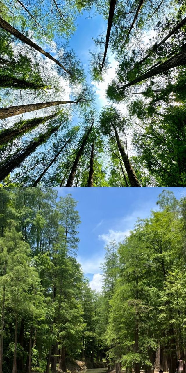 中山石寨水庫徒步攻略：夏日裡的「阿勒泰」