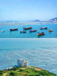 被枸杞島實力圈粉！上海周邊嘅神仙海島