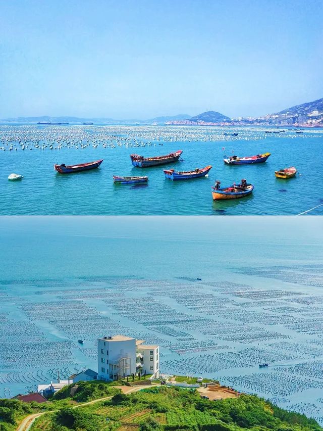 被枸杞島實力圈粉！上海周邊嘅神仙海島