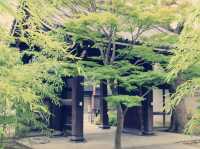 **【大阪隱世藝術瑰寶！藤田美術館沉浸式體驗記】**  