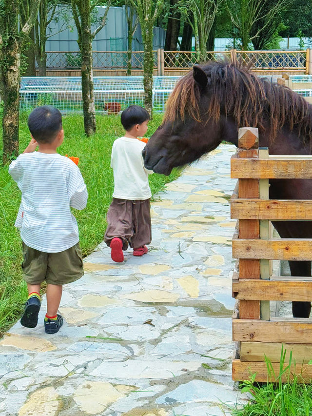 成都神仙小院｜樂園萌寵採摘～一站式遛娃