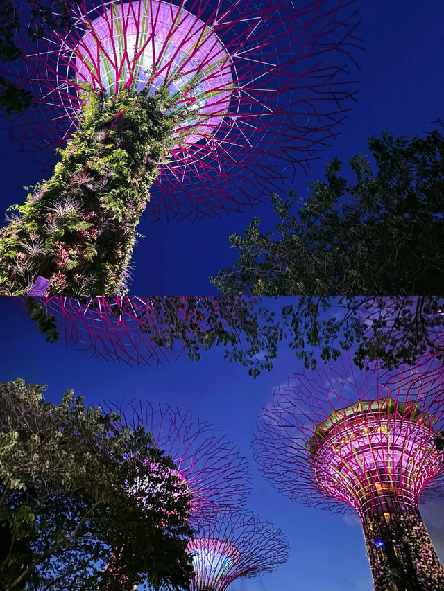 新加坡，遇見未來！濱海灣花園、環球影城玩到盡興！
