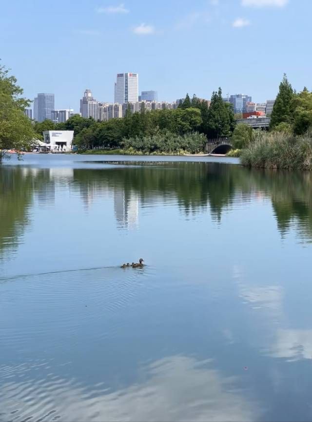 錦城湖公園 | 成都嘅城市綠肺與休閒寶地