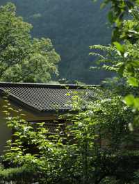 青城後山流淌著禪意嘅中式院落|邂逅淡泊平和