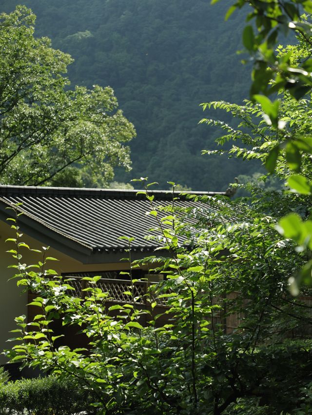 青城後山流淌著禪意嘅中式院落|邂逅淡泊平和