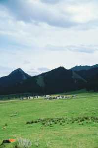 新疆秘境探險！騎進雪山下的21公里野奢之旅