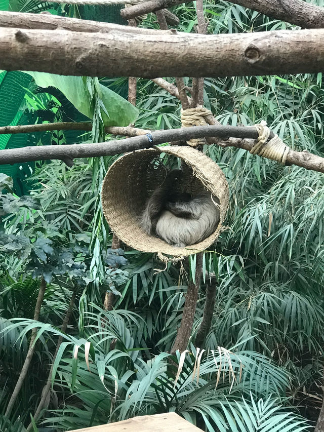 Must Visit - Edinburgh Zoo! 