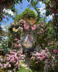 夏日系治癒花園！！