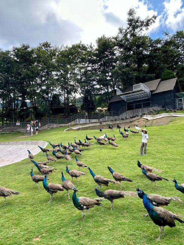 大理動物世界