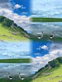 7-9月內蒙古旅行｜草原最美季節嘅保姆級攻略