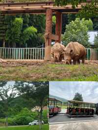【動物園超全遊玩攻略！人少不排隊+免費碰碰車